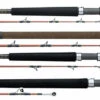 Daiwa V.I.P. A Saltwater Rods 2 Daiwa V.I.P. A Saltwater Rods -TackleX Store daiwa vip a saltwater rods 06467.1651076951