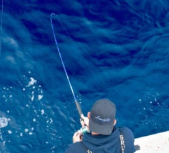 Lamiglas Bluewater Series Rods 8 Lamiglas Bluewater Series Rods -TackleX Store lamiglas bluewater series rods 05107.1651112013