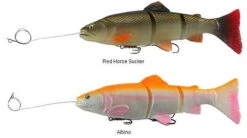 New Products -TackleX Store savage gear pre rigged 3d line thru trout lures 89082.1650821678