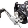 Shimano Tekota Levelwind Conventional Reels -TackleX Store shimano tekota levelwind reels 21217.1651006805