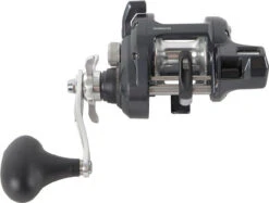 Shimano Tekota Levelwind Conventional Reels -TackleX Store shimano tekota levelwind reels 32731.1651006806