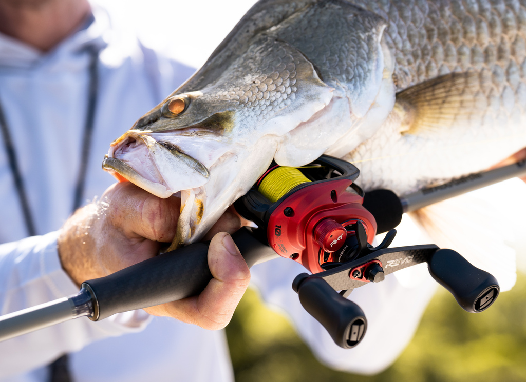 TackleX Store -TackleX Store Abu Garcia Lifestyle Revo 5 LP Rocket Barramundi Dawin Alt6